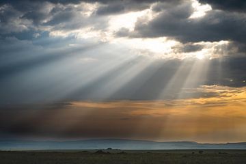 Himmelslicht über der Serengeti von Sascha Bakker