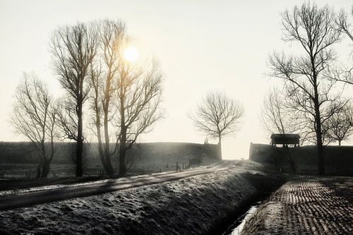Wintersfeer in de Johannes Kerkhovenpolder/Carelcoenraadpolder