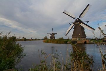 Moulins à vent à Kinderdijk sur tiny brok