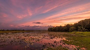 Sunset at Wasgamuwa Lake