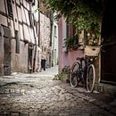The bike, Eguisheim by Michiel Mulder thumbnail
