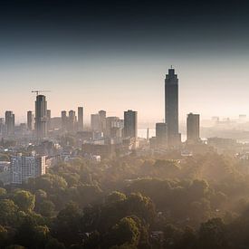 Panorama Rotterdam von Quirien Marijs