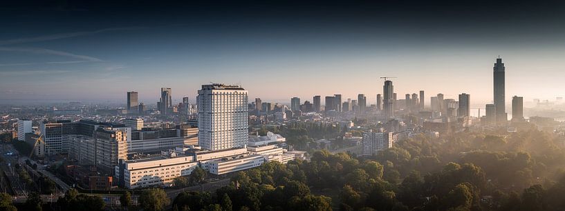 Panorama Rotterdam von Quirien Marijs