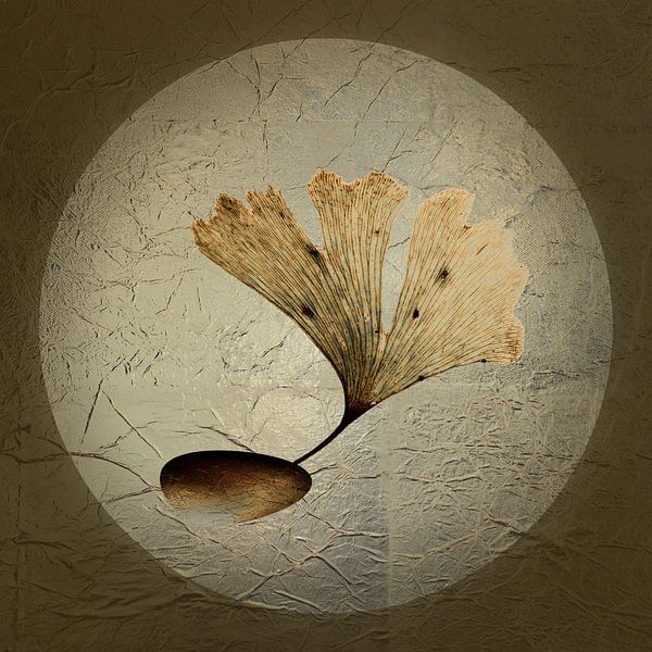 Strength 2. Ginkgo. by Alie Ekkelenkamp