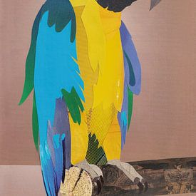 Parrot XL van Kirsten Wagenaar