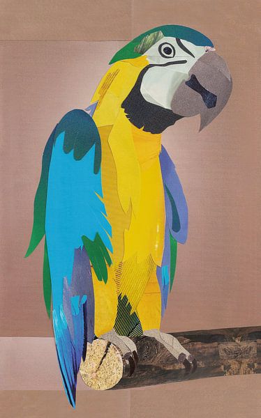 Papagei XL von Kirsten Wagenaar