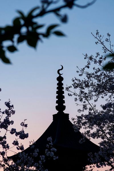 Temple in the evening light by Poster Art Shop