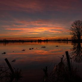 On the Meuse by Monica Zimmermans