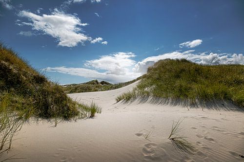 Duinen
