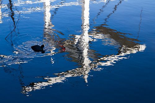 Leiden Mudguard Bridge