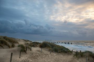 Palendorp strand Petten, Nederland van Eigenwijze Fotografie