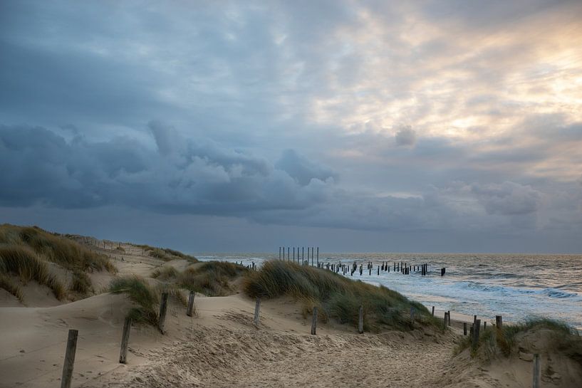 Palendorp beach Petten, Netherlands by Eigenwijze Fotografie