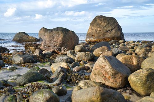 Stenen strand in Denemarken aan zee