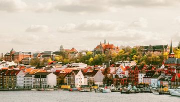 Flensburg Panorama