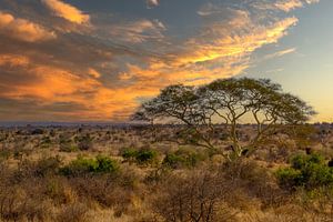 Südafrikanische Landschaft mit schönem Himmel von Ineke Huizing