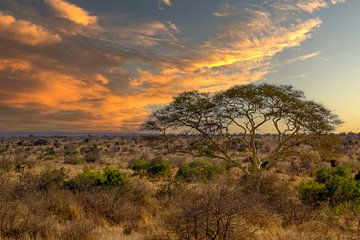 Paysage sud-africain avec un ciel magnifique sur Ineke Huizing