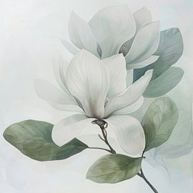 Magnolienblüte von Poster Art Shop