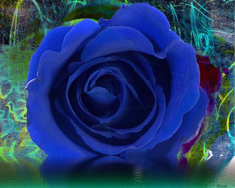 Blaue Rose by Gertrud Scheffler