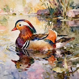 Les beaux oiseaux du monde - Canard mandarin sur Johannas Art Creations