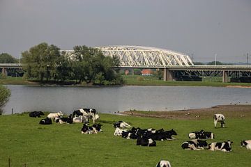 Westervoortse brug van Karlo Bolder