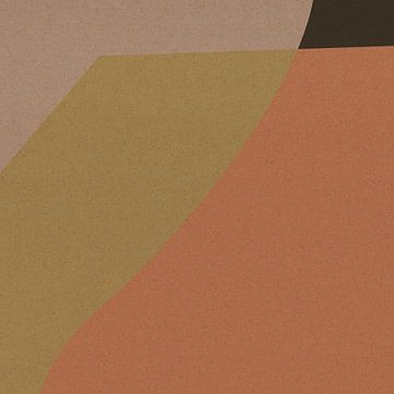 Abstracte organische en geometrische vormen nr. 5 van Dina Dankers