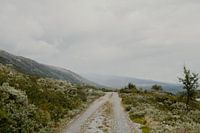 Norway