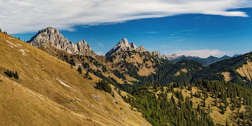 Bergpanorama in het Tannheimtal