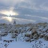 Vuurtoren Noordwijk in de zachte stralen van de winterzon van Yanuschka | Fotografie Noordwijk