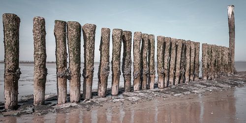 Breakwater at Breskens