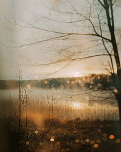 Herbstlicht bricht durch