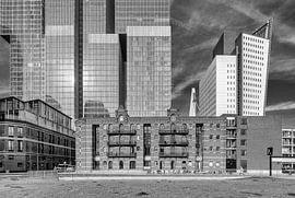 Otto Reuchlinweg - Rotterdam by Tony Buijse