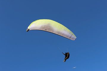 Paraglider in blauem Himmel mit Vogel von MrsBavel