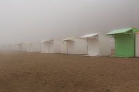 Mistig strand