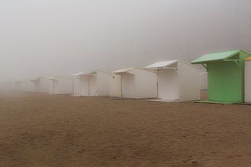 Mistig strand van Shadia Bellafkih