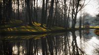 Reflecties en prieel op landgoed Elswout van Paul Beentjes thumbnail