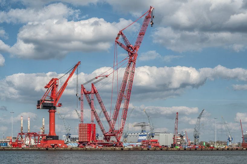 MAMMOUTH , SCHIEDAM par arie oversier