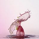 Liquid ART - Bubble van Stephan Geist thumbnail