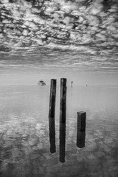 Het Wad gezien vanaf de pier van Holwerd op een windstille dag