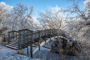 Magdeburg - Stadtpark Rotehorn im Winter