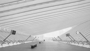 Stilte in het futurisme - Wachten in het station van Luik van Karsten Rahn
