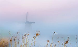 Twiske-Mühle im Morgennebel, Niederlande
