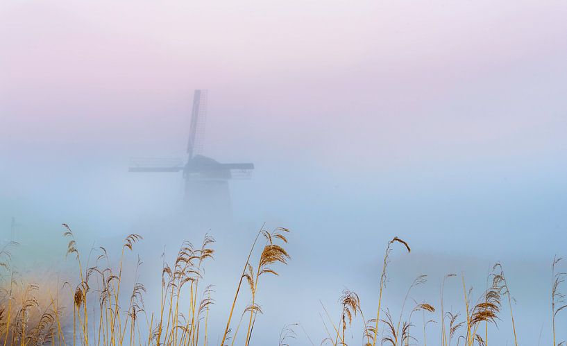 Twiske mill in the morning mist, The Netherlands by Rietje Bulthuis