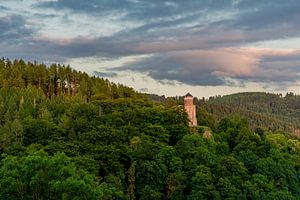 Burgruine Hallenburg in der Nähe von Steinbach-Hallenberg