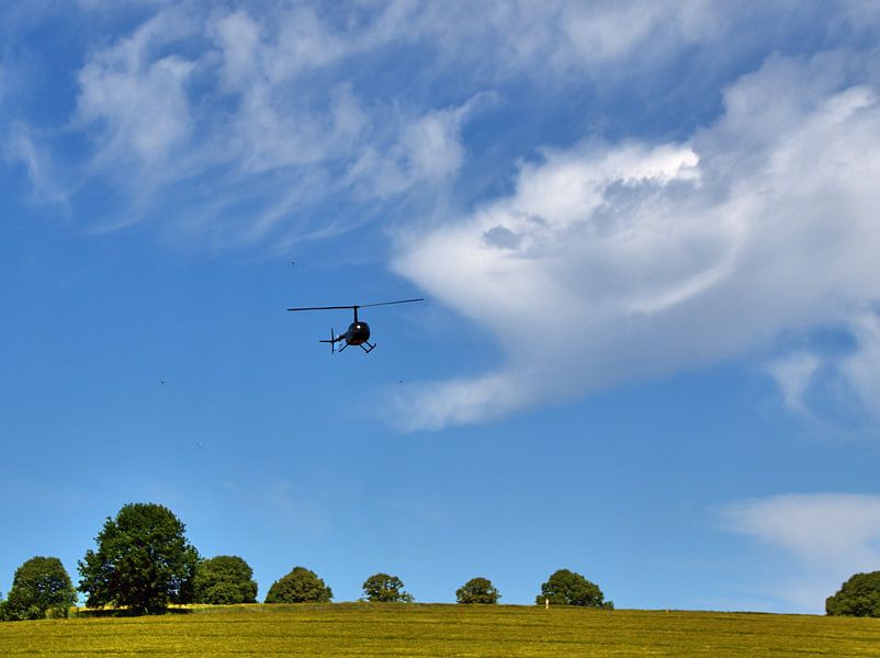 Viswolk eet helikopter van Edgar Schermaul