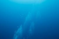 Air bubbles underwater