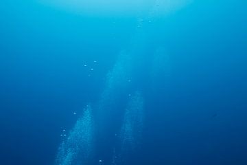 Luchtbellen onderwater van Vanessa Devolder