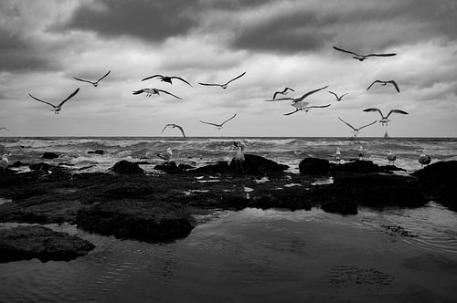 Aufbrausend in Ostende