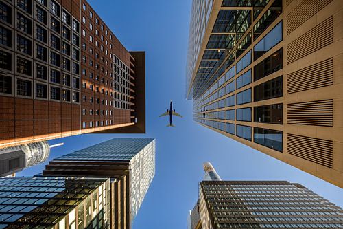 Frankfurt on the Main