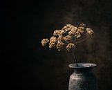 Dried hogweed in a rustic vase. by Henk Van Nunen Fotografie thumbnail