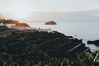 Sunset coastal banana plantation Tenerife photo art print